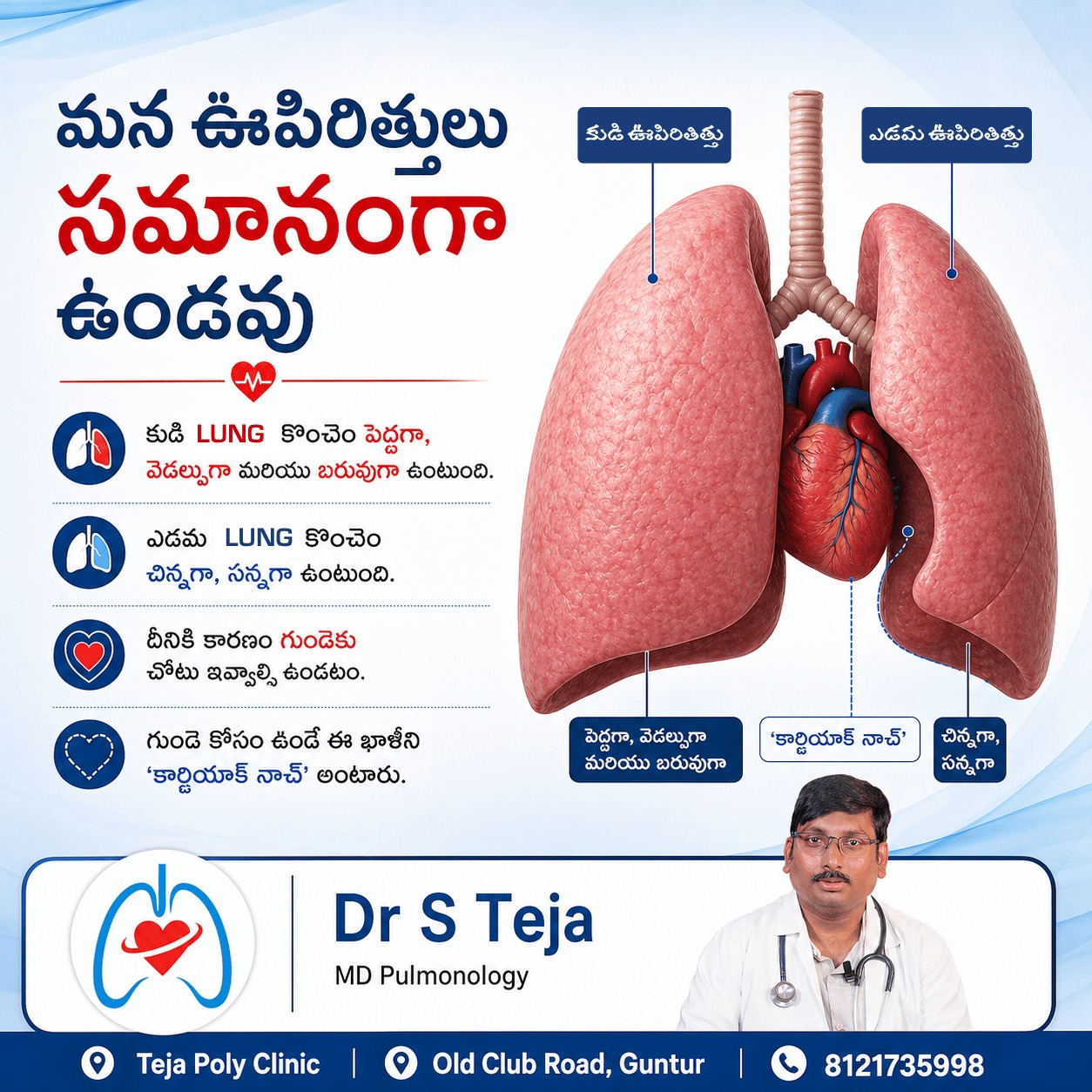 Lung Asymmetry Explained